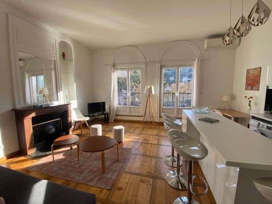 Location Appartement 2 pièces 42m² LYON 1er - Photo 1