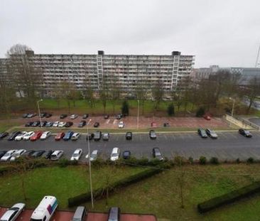 Hofgeest 1102 Amsterdam - Photo 5