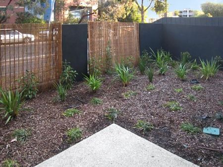 Stylish Ground Floor Apartment in Prime Hawthorn Location! - Photo 3