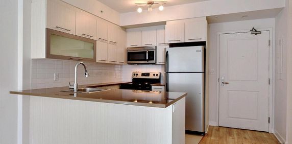 Appartement Ville-Marie (Centre-Ville, Vieux-Montréal) À Louer - Photo 2