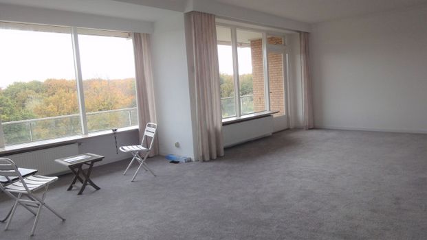 Appartement te huur: Ruychrocklaan 418 2597 EH Den Haag - Photo 1
