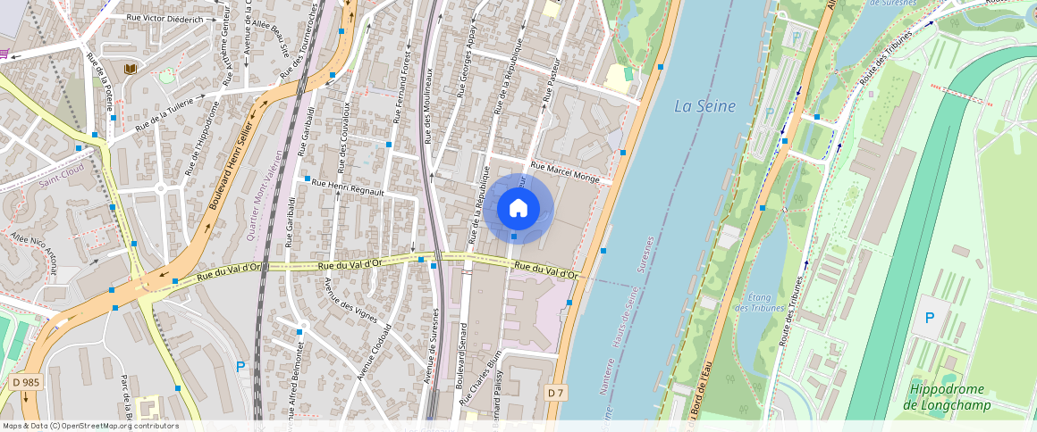 ** rue Pasteur, 92150, Suresnes