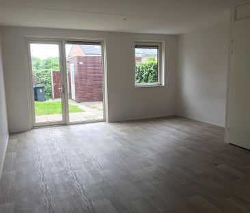 Vleermuiszoom 2 - Foto 1