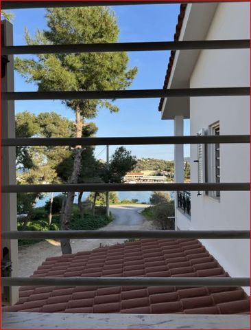 Μονοκατοικία για ενοικίαση Πόρτο Ράφτη (Μαρκόπουλο) - Photo 4