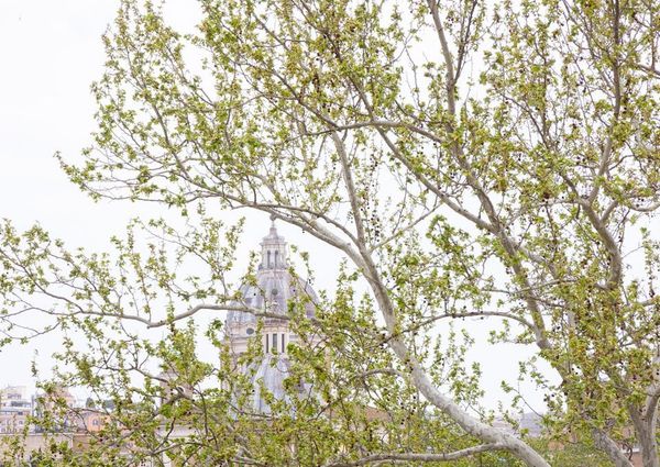 Lungotevere dei Mellini, Rome, Lazio 00193