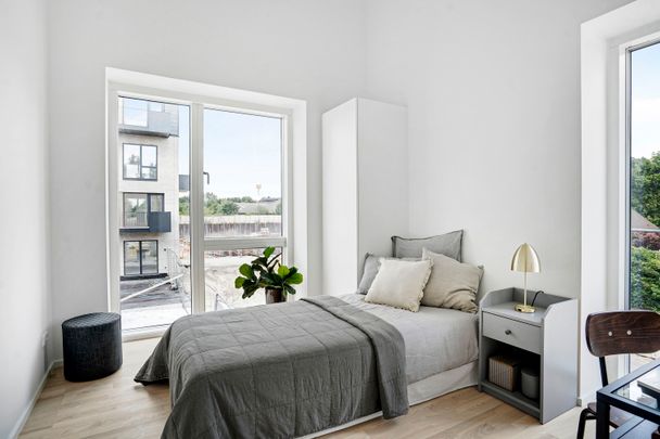 PH Park 67, st. 2. - Photo 1