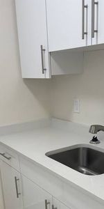 Newly Renovated Large One Bedroom (Vancouver) WITH PROMOTION!!! - Photo 4