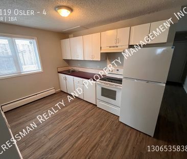 1 bed 1 bath APARTMENT in downtown Regina FIRST MONTH RENT FREE - Photo 3