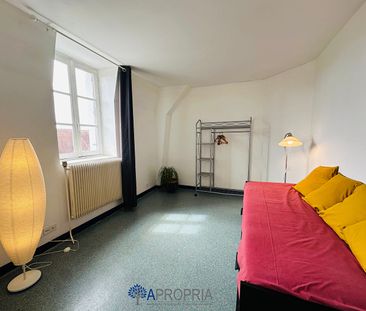 Location Appartement 1 pièce 20m² - Photo 2