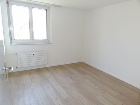 Lichtdurchflutete Wohnung – Wohnen in zentraler und grüner Umgebung - Foto 5