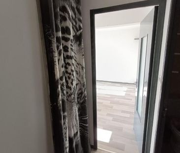 Location Appartement 1 pièce 26m² LAXOU 54520 - Photo 2