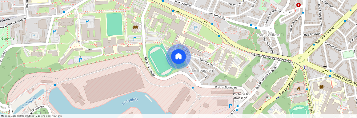 BREST 29200