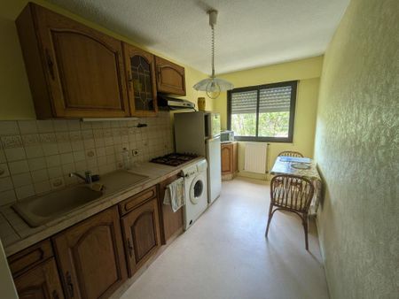 Location Appartement 2 pièces Meublé 55m² MONT DE MARSAN 40000 - Photo 2