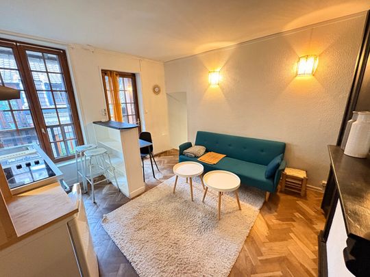 T1 bis MEUBLE de 20.89 m², rue de Metz – Vieux Lille réf G255 - Photo 1