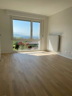 Bright 2.5-room apartment on 1st floor completely renovated in 2024 - Foto 1