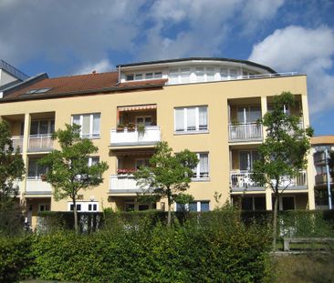 Schön, schöner, Kirchsteigfeld... - Foto 2