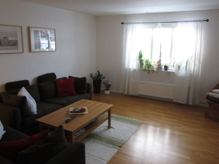 Raskens väg 3D - Photo 5