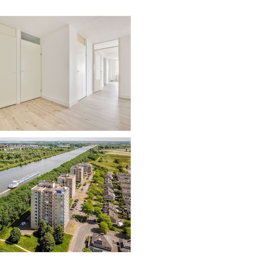 Hermelijnvlinder 49, Vlindertuin, 1113LC, Diemen - Photo 1