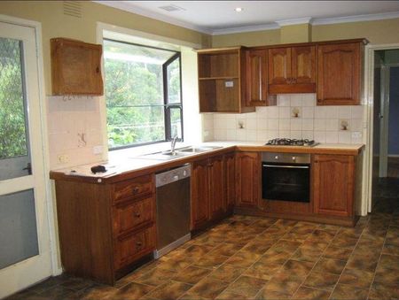 FAMILY FRIENDLY HOME OPPOSITE BELGRAVE LAKE PARK - Photo 5