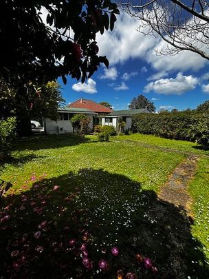 City fringe Classic Kiwi Home for young people - Photo 1