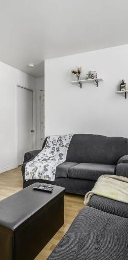 Appartement 4 ½ à louer Lévis juillet 2026 - Photo 1