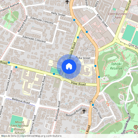 3/34 Esplanade Road, Mount Eden