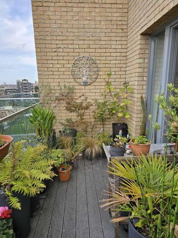 Room in a Shared Flat, Bramble Path, E3 - Photo 3