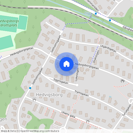 Borås, Hedvigsborgsgatan, 24, 50447