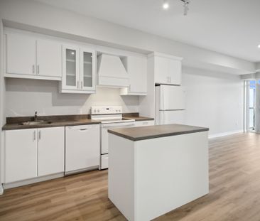 For Lease - 50 Herrick Avenue Unit# 443, St. Catharines, Ontario - Photo 5