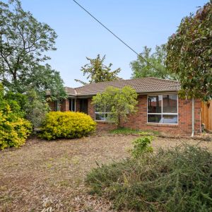 Freshly Painted Family Home with Brand New Carpet & Spacious Backyard - Photo 2
