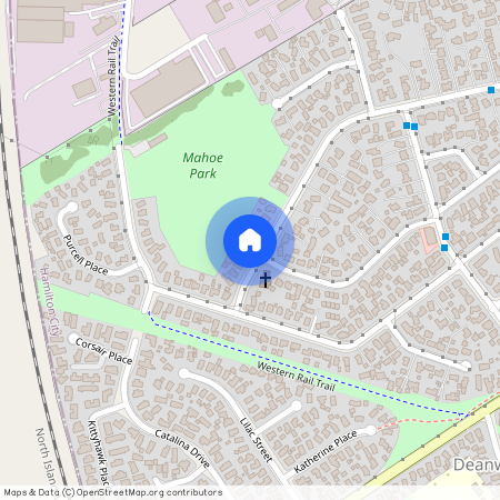 194 Mahoe Street, Melville, Hamilton