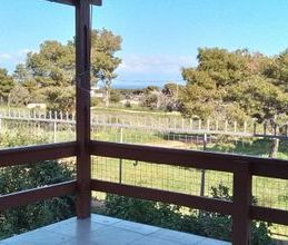 Μονοκατοικία για ενοικίαση - Αρτέμιδα (Λούτσα), - Photo 3