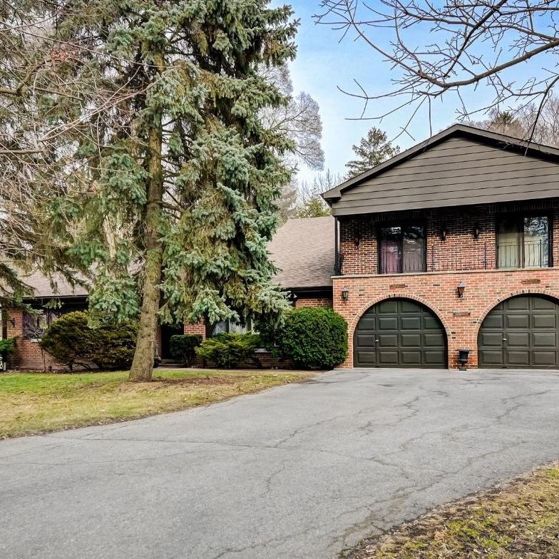 For Lease - 27 Annis Road, Toronto, Ontario - Photo 2