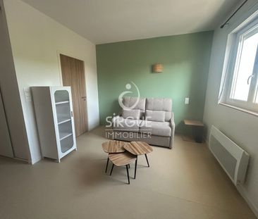 Location Appartement 1 pièce 22m² ALBI 81000 - Photo 2