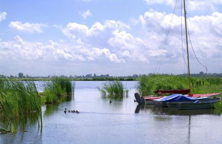 Overleek 25A-De Koeienstal - Photo 4