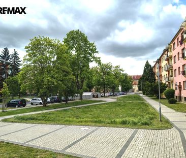 Pronájem bytu 1+1 v osobním vlastnictví 40 m², Žatec - Fotografie 6