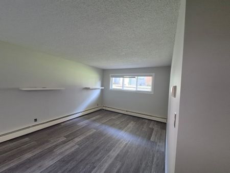 Newly Renovated!! 2 Bedroom Condo in Riverside Meadows Only $1095 a Mo - Photo 4