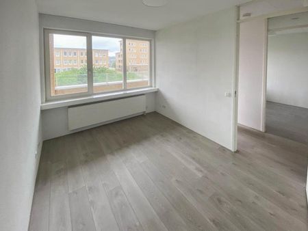 Te huur: Appartement Clusiushof in Oegstgeest - Photo 2