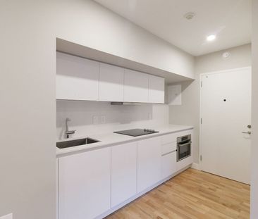 3455 Rue Aylmer, Montréal, QC - Photo 4