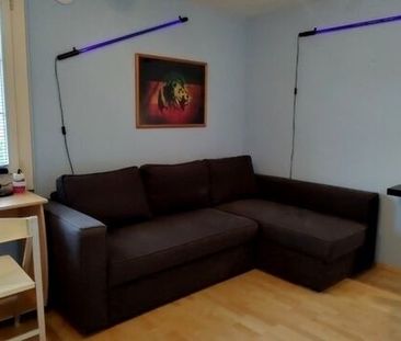 4-ROOM HOUSE IN NÄNIKON (ZH), FURNISHED, TEMPORARY - Photo 2