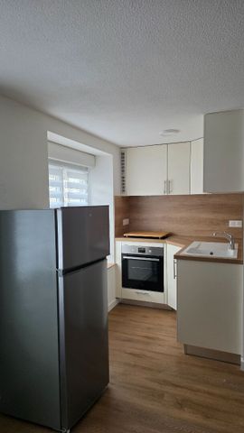 Location Appartement 1 pièce 17m² - Photo 3