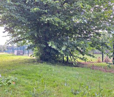 Frisch renovierte gemütliche 3-Raum Wohnung - Photo 5