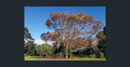 LARGE FAMILY HOME WITH HUGE BACKYARD AND NEIGHBOURING ALLNUT PARK | BESSER+CO - Photo 4