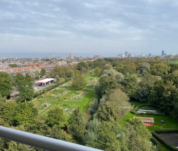 Appartement Maartensdijklaan 490, La Haye - À Louer - Photo 3