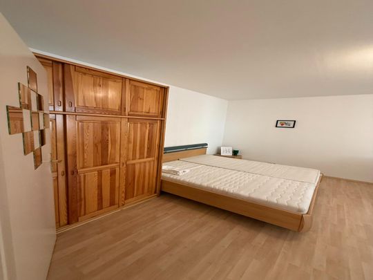 Möblierte Appartements zu vermieten - Auch Kurzzeitmiete - Foto 1