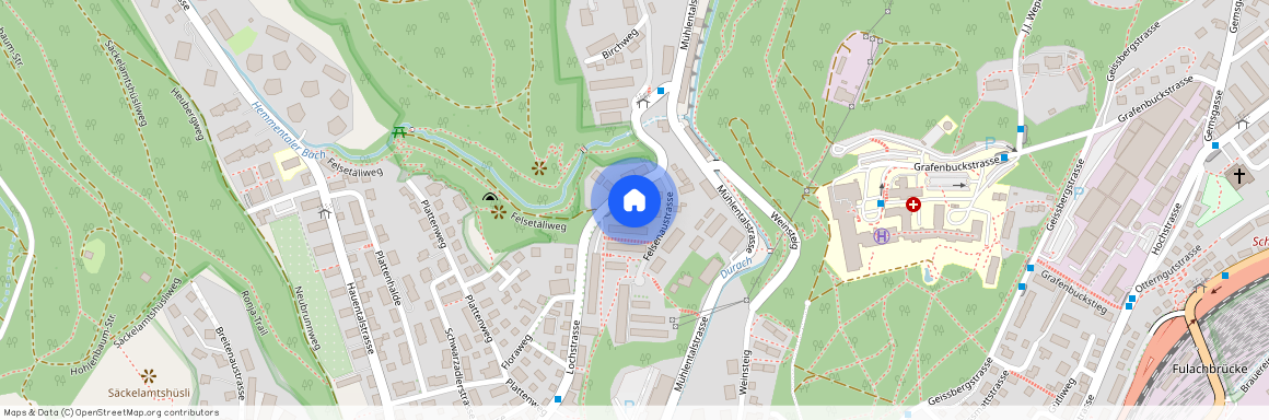 Felsenaustrasse 10, 8200 Schaffhausen