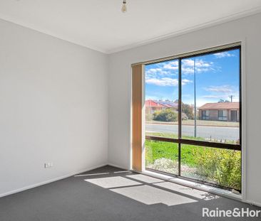 Neat Isabella Plains Home With Large Backyard - Photo 4