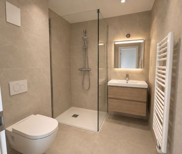 Beautiful furnished studios in the heart of the Old Town of Sion - Photo 6
