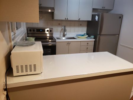 For Lease - 19 Bingham Street Unit# Basement, Richmond Hill, Ontario - Photo 4