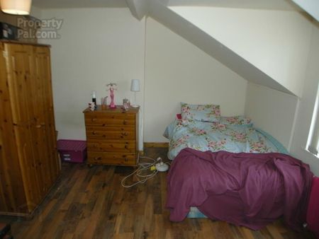 59 Cromwell Road, Botanic, Belfast, BT7 1JY - Photo 2